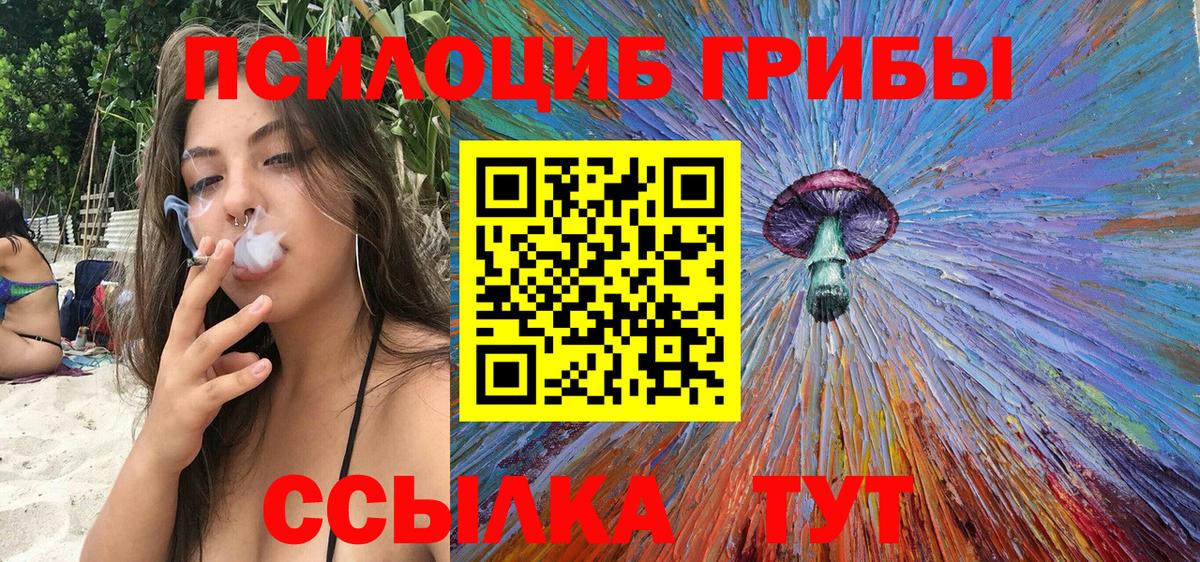Тара  Псилоцибиновые грибы прущие грибы  Вход с VPN 