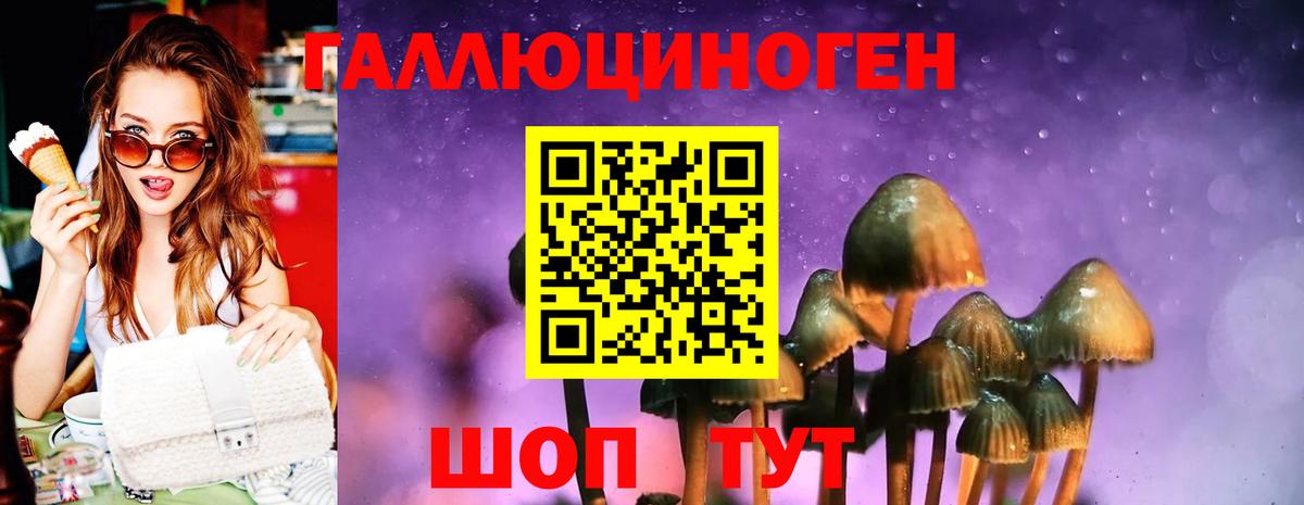Галлюциногенные грибы прущие грибы Тара